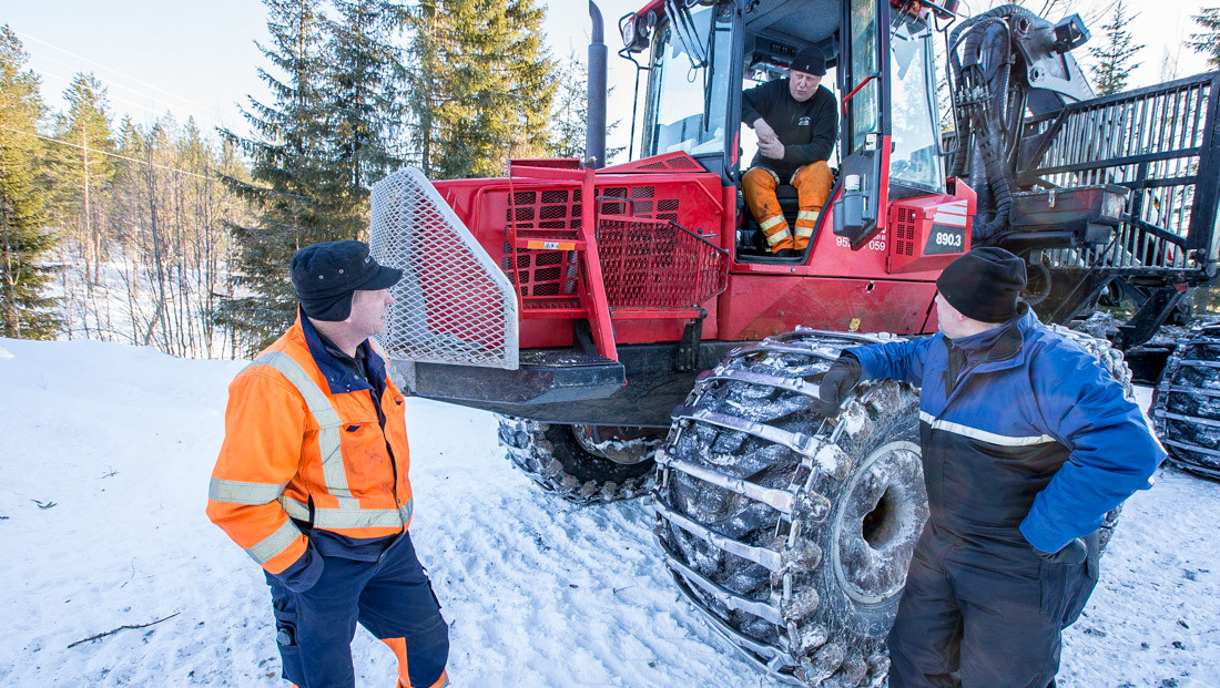 Møte i skogen