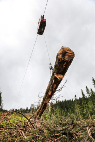 KREFTER: Når tømmeret befinner seg midt i et langt strekk, setter store krefter inn, så Frivik forankrer for 18-20 tonns press på kabelen (en 22 mm spesialkabel). (Foto: Runar F. Daler).