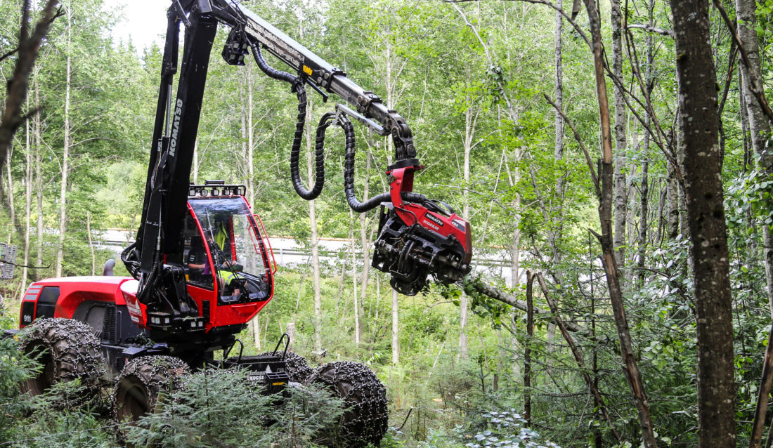 Skogsoperatørlærling Jonas Brobakken rydder skog slik at E6-en (i bakgrunnen) kan utvides. (Foto: Runar F. Daler).