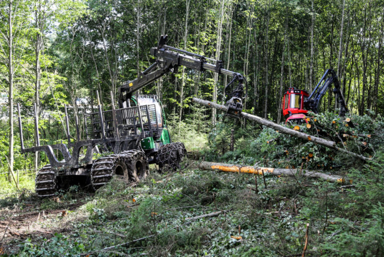 Hogstmaskinen (Komatsu 911) og lassbæreren (John Deere 1210) fjerner skogen i et forrykende tempo. (Foto: Runar F. Daler).