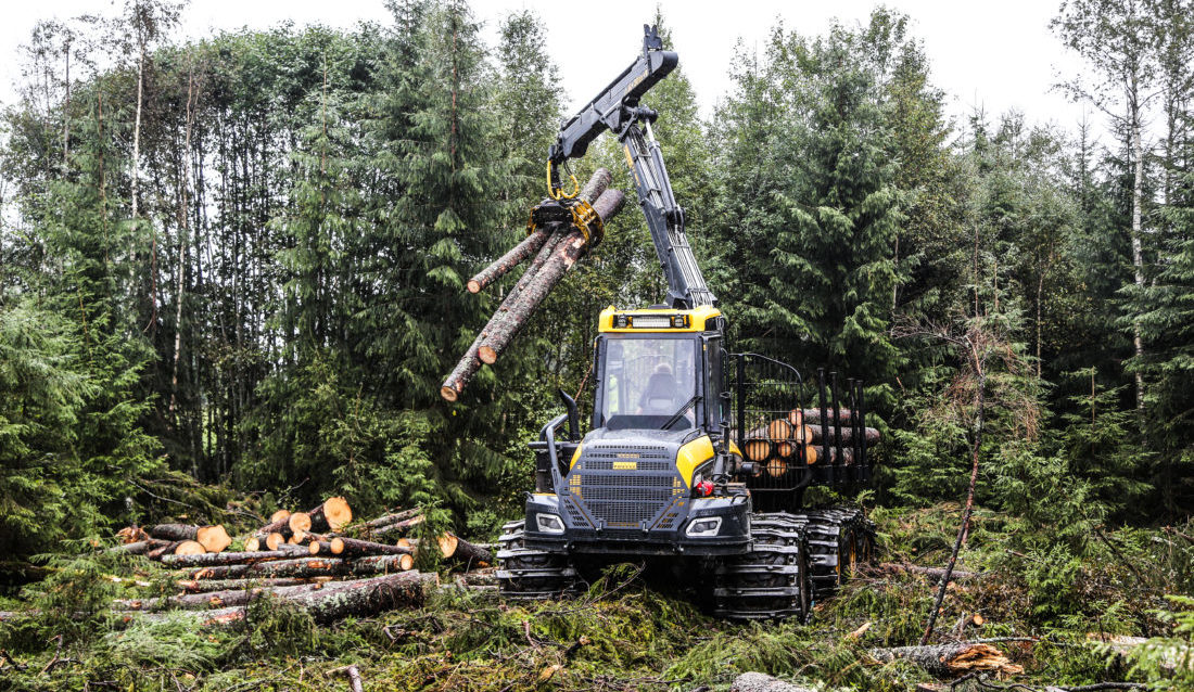 Skogavdelingen i MEF har mange spennende prosjekter på gang. Men de ønsker seg flere medlemmer. (Foto: Runar F. Daler).