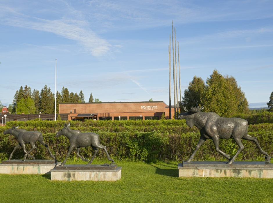 Foto: Norsk Skogmuseum