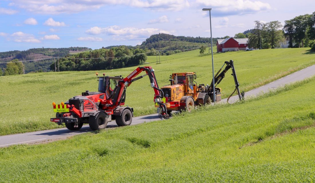 Kantklipping skal ifølge Statens vegvesen være det viktigste grepet for bevaring av artsmangfoldet. (Foto: Njål Hagen)