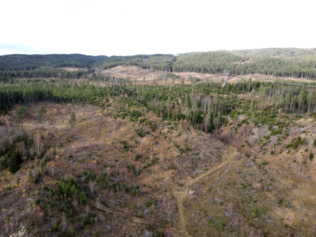 Det meste på dette bildet tilhører området NOAH nå har opsjon på å leie. (Foto: Jevnaker kommune)