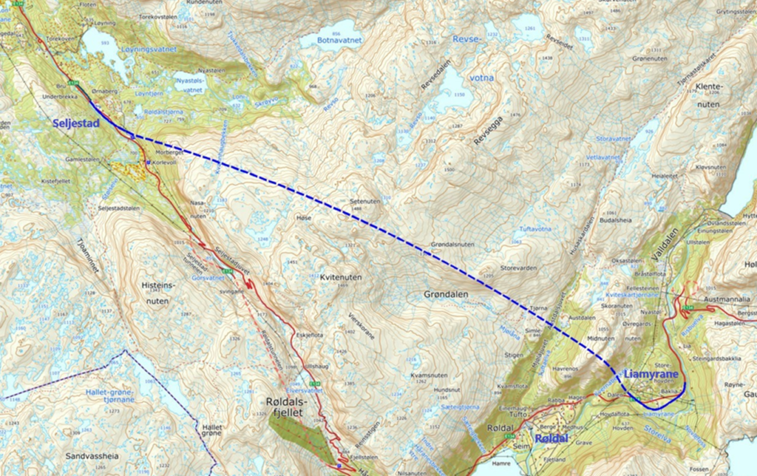 Kartet viser hvor den nye E134 mellom Røldal og Seljestad skal gå. (Illustrasjon: Statens vegvesen)