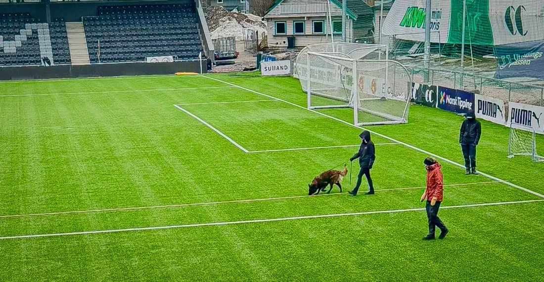 Her avsøkes Briskeby stadion for lekkasje i det vannbårne varmeanlegget under banedekket. (Foto: Eksplosivhund)