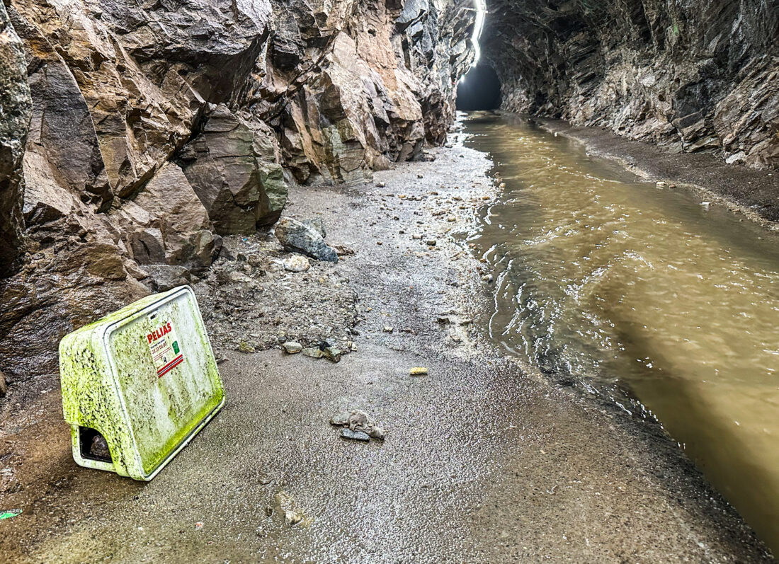 Slike rottefeller (til venstre) er det mange av innover i tunnelen. – Jeg tror aldri jeg har sett så mange rotter som i akkurat denne tunnelen, sier geolog Stormoen. (Foto: Runar F. Daler)