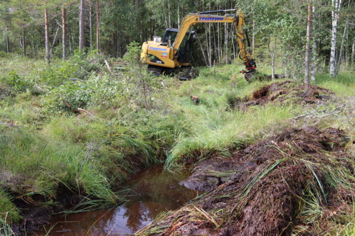 Myrområder tilbakeføres til sin naturlige tilstand. (Foto: Njål Hagen)|Kursholderne er Suzanne Wien og Kjølv Øystein Falklev. (Foto: Kari Utgaard