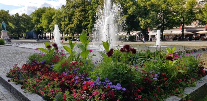 De neste tre årene skal Agaia sørge for drift og skjøtsel av park