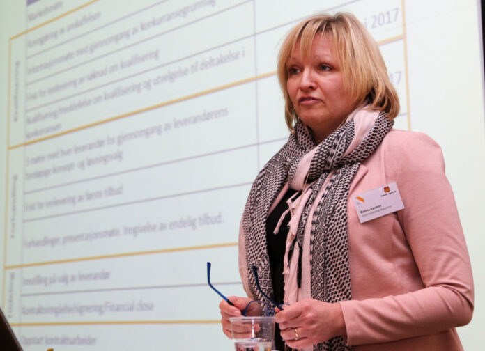 Avdelingsdirektør for byggherreseksjonen i Vegdirektoratet