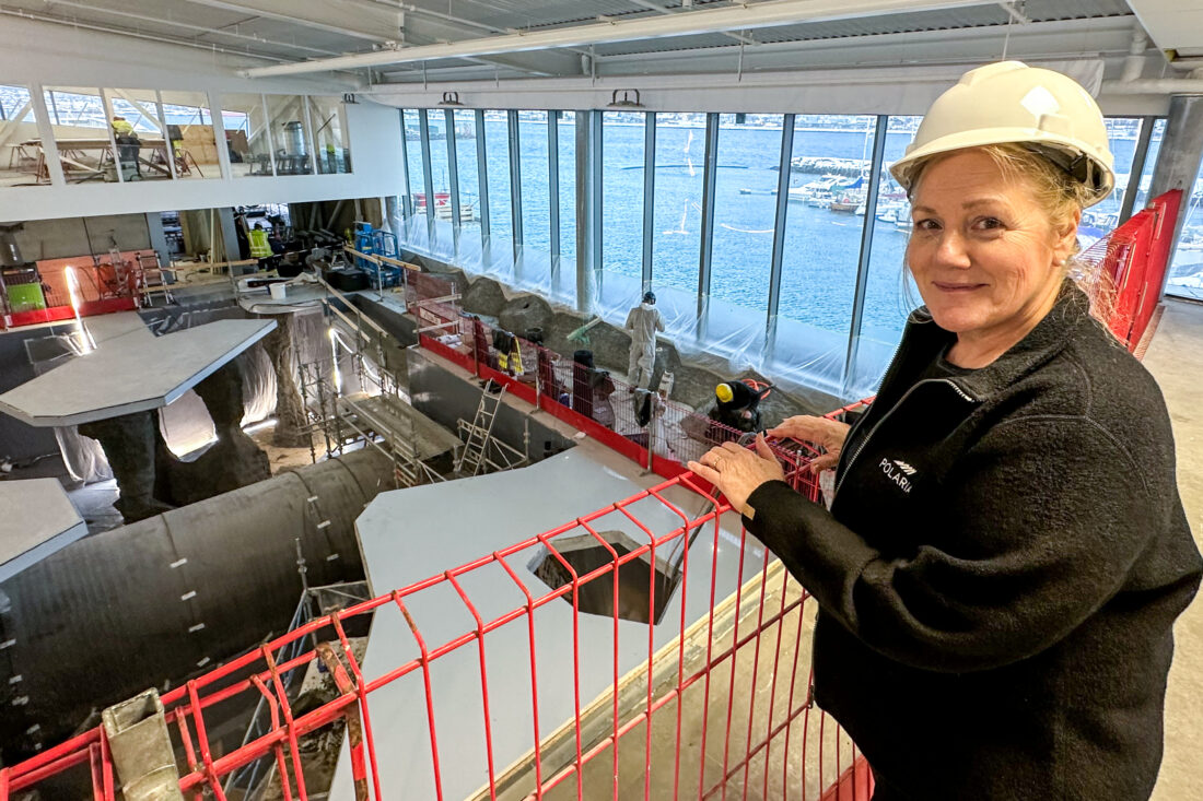 Det nye bassenget vil bli neste tre ganger så stort som dagens, og vil romme én million liter vann. Akkurat er et dansk firma på plass og bygger naturtro landskap både inni og rundt selbassengene, kan Anne Grete Johansen fortelle. (Foto: Runar F. Daler)