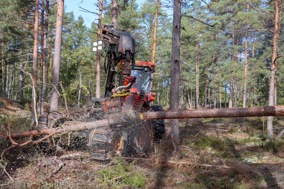 Hogstaggregatet har modellbetegnelsen 948, og kan ta trær opp til 48 cm i diameter. (Foto: Njål Hagen)