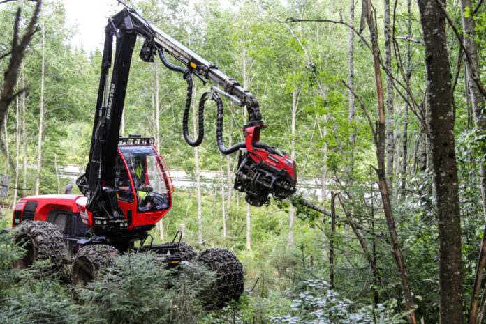 Skogsoperatørlærling Jonas Brobakken rydder skog slik at E6-en (i bakgrunnen) kan utvides. (Foto: Runar F. Daler).|– Det er en stor jobb for oss. Det er også en artig jobb
