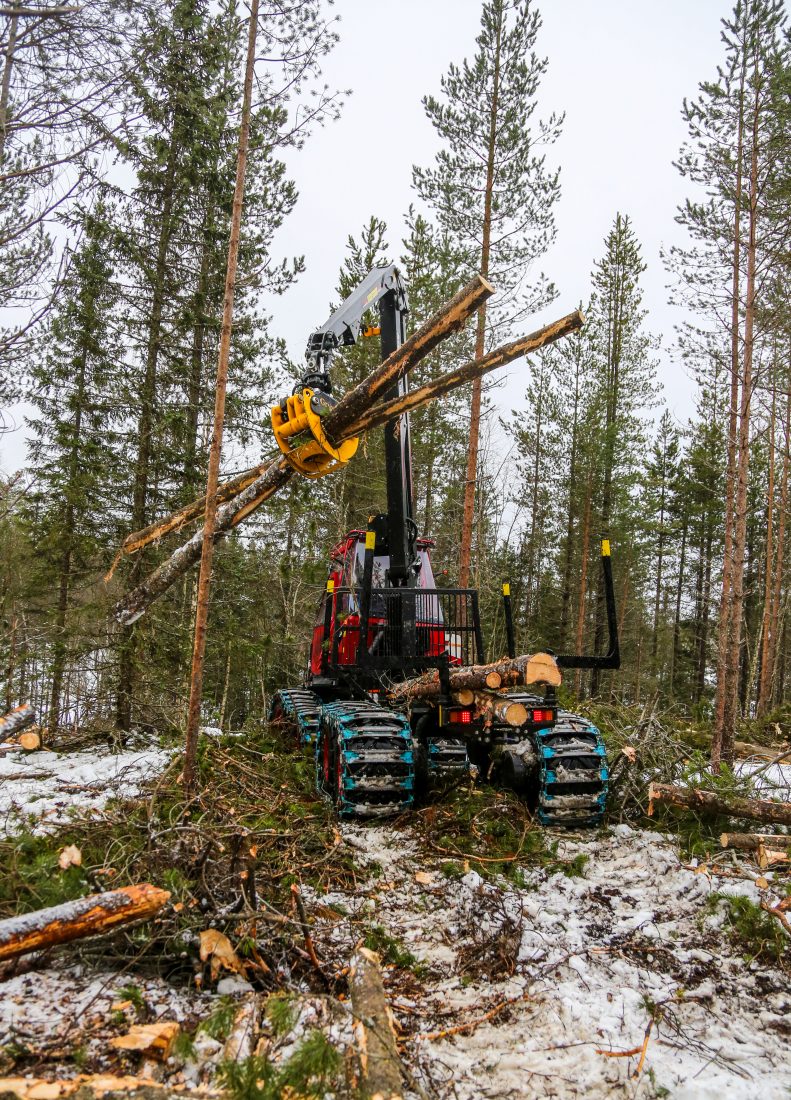 Som lassbærer kan maskinen laste seks tonn eller cirka seks kubikkmeter tømmer. (Foto: Runar F. Daler)