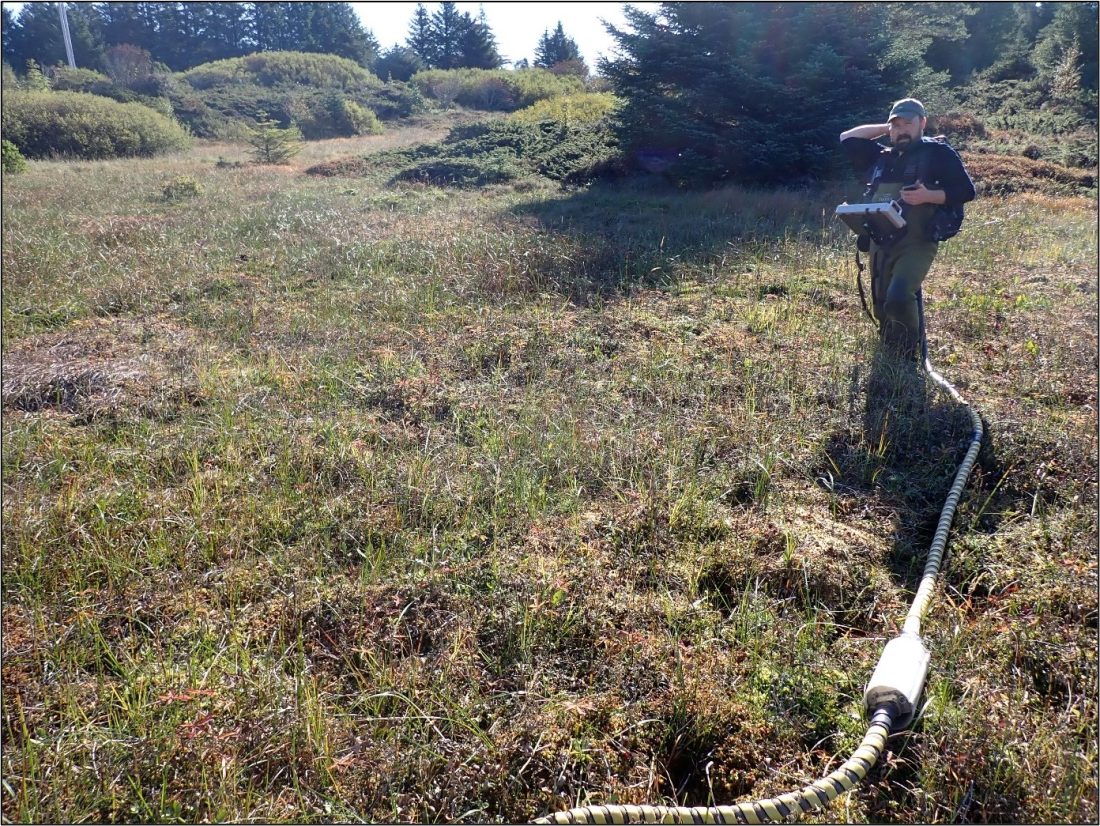 Eivind Støren, PhD i geologi, kartlegger våtmark med georadar. (Foto: Cowi)