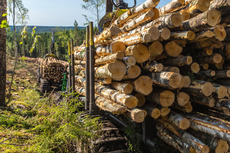 Illustrasjonsfoto: Jørn Søderholm.