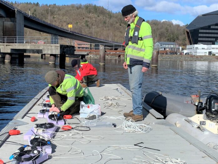 Geolog Ahmed Al-Samarray benytter seismikk for å kunne «se» 150 meter innover i fjellet og forutsi bergartens sammensetning. (Foto: Øyvind Ellingsen/Statens vegvesen)|Her monterer Al-Samarray den seismiske mottakeren. (Foto: Øyvind Ellingsen/Statens vegvesen)|De seismiske signalene «mates» inn i en programvare som lager 3D-modeller av fjellet. (Foto: Øyvind Ellingsen/Statens vegvesen)