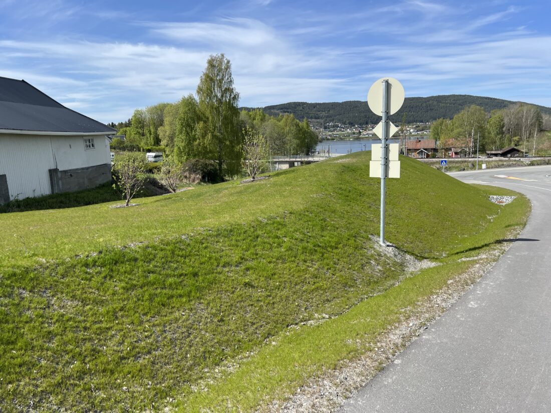 Bilde fra dampet jord på anlegget på Jevnaker - året etter. (Foto: SoilSteam)