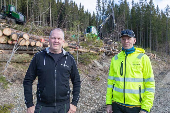 naesbo_skog-1 |