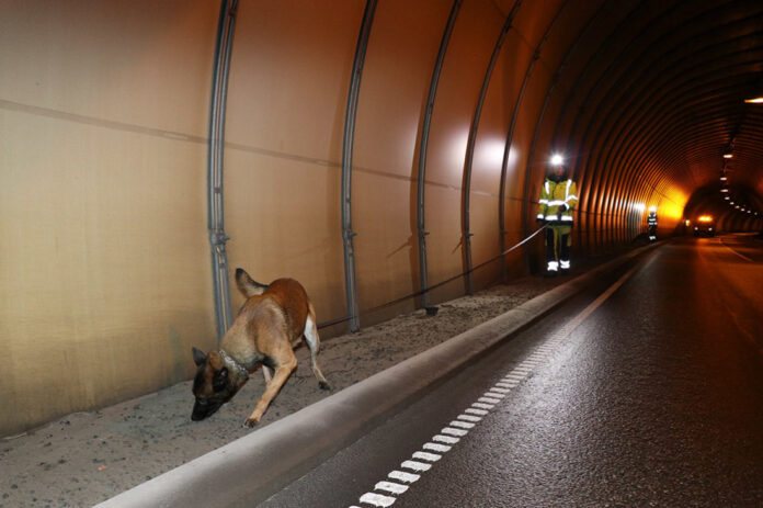 Sprengstoffhund i tunnel