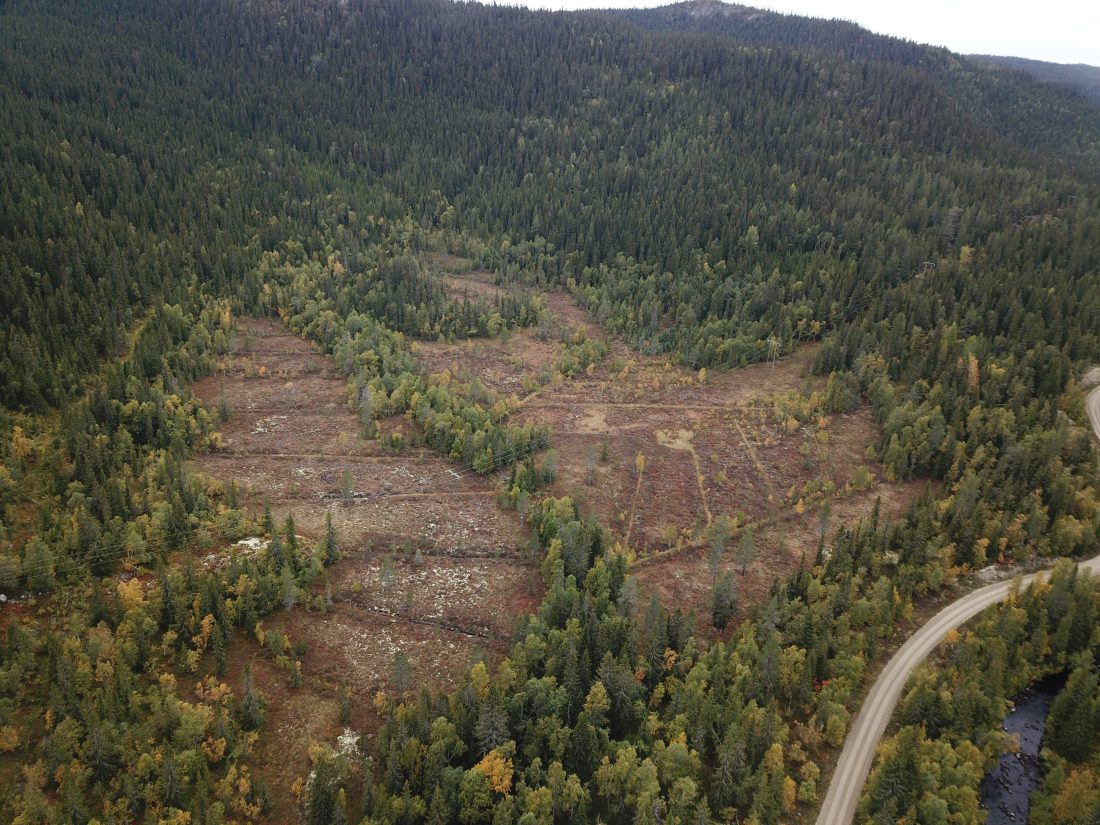 Før restaurering, Gråkletten naturreservat. Foto: Kjølv Øystein Falklev, Statens naturoppsyn