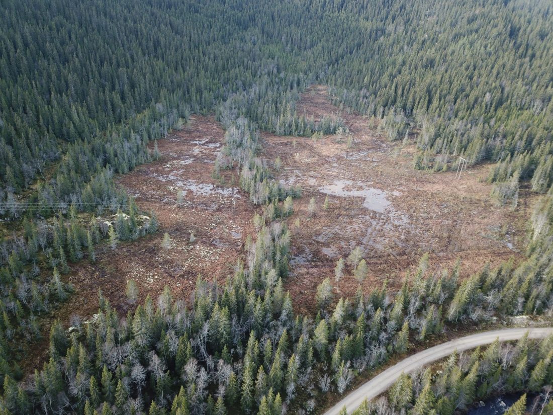 Etter restaurering, Gråkletten naturreservat. Foto: Kjølv Øystein Falklev, Statens naturoppsyn