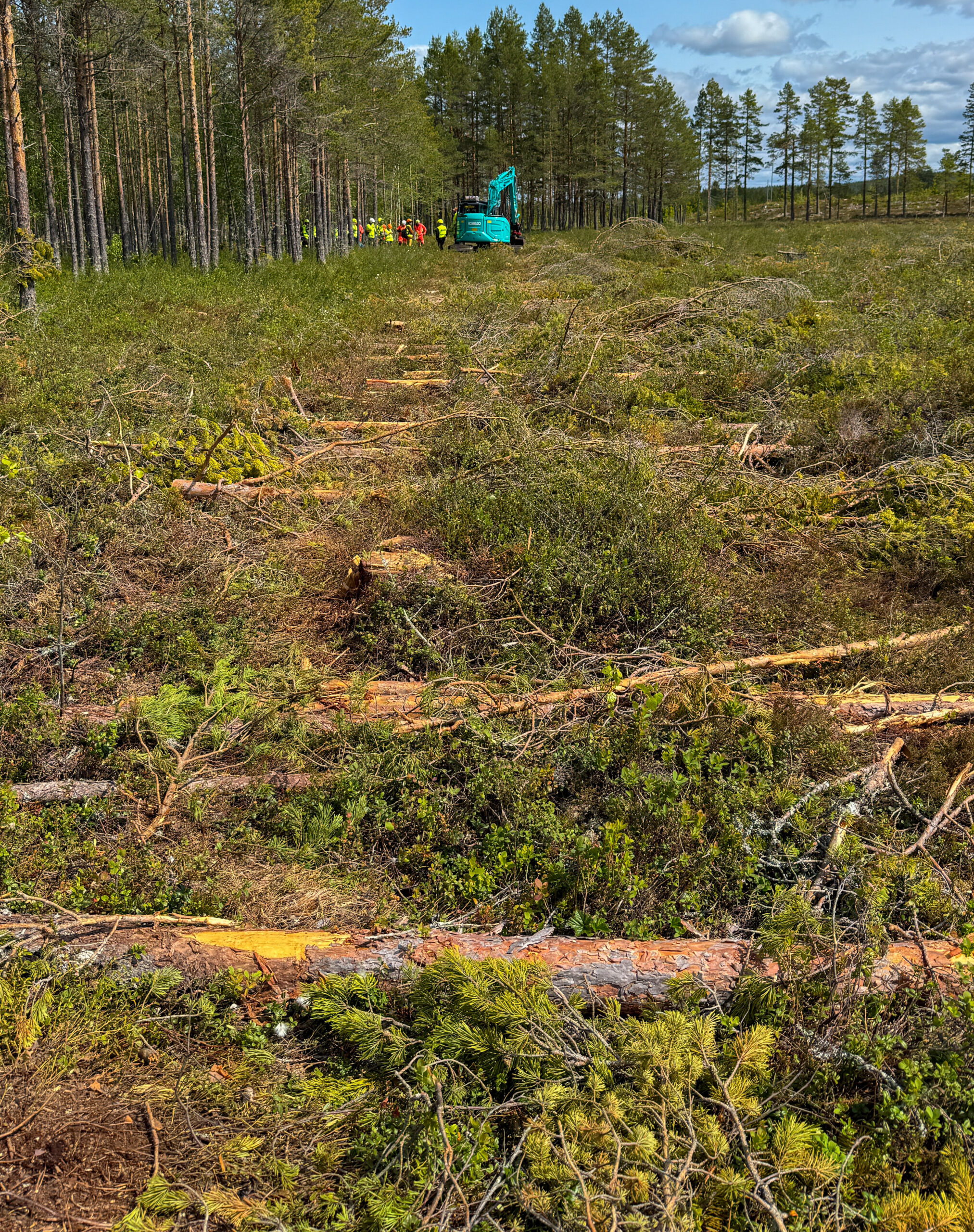 Her har maskinfører Raymond Furuheim Nystuen i Kobelco-graveren lagt ut stokkmatter for å få bedre bæring og hindre kjørespor. (Foto: Njål Hagen)