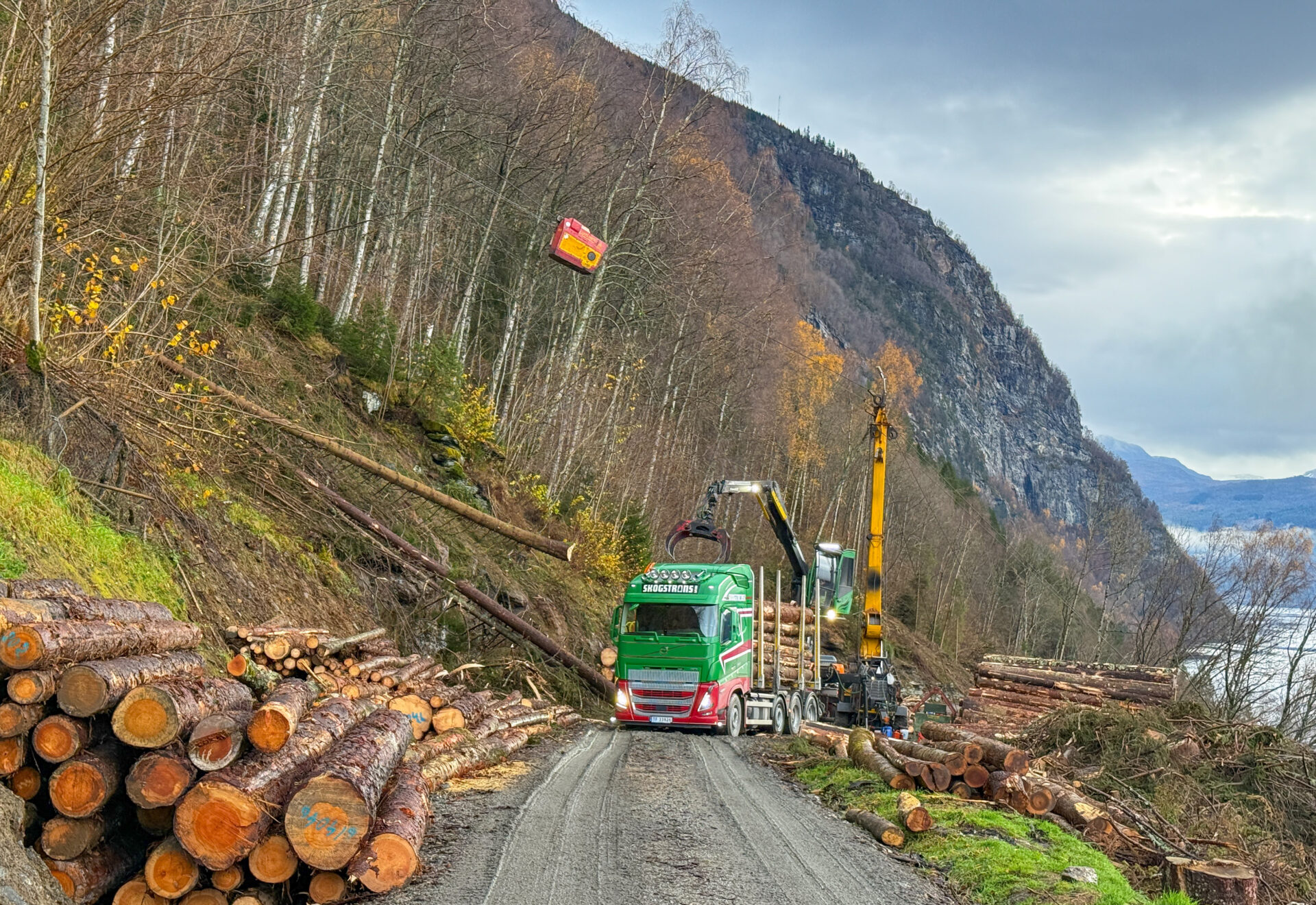T. Frivik Taubanedrift AS tar på seg hogstoppdrag der vanlig skogsdrift ikke er mulig å gjennomføre. Her er de på oppdrag i Hopland, en liten bygd i Stryn kommune. Her på nordsiden av Nordfjorden er det smale veier og bratt terreng. (Foto: Njål Hagen)