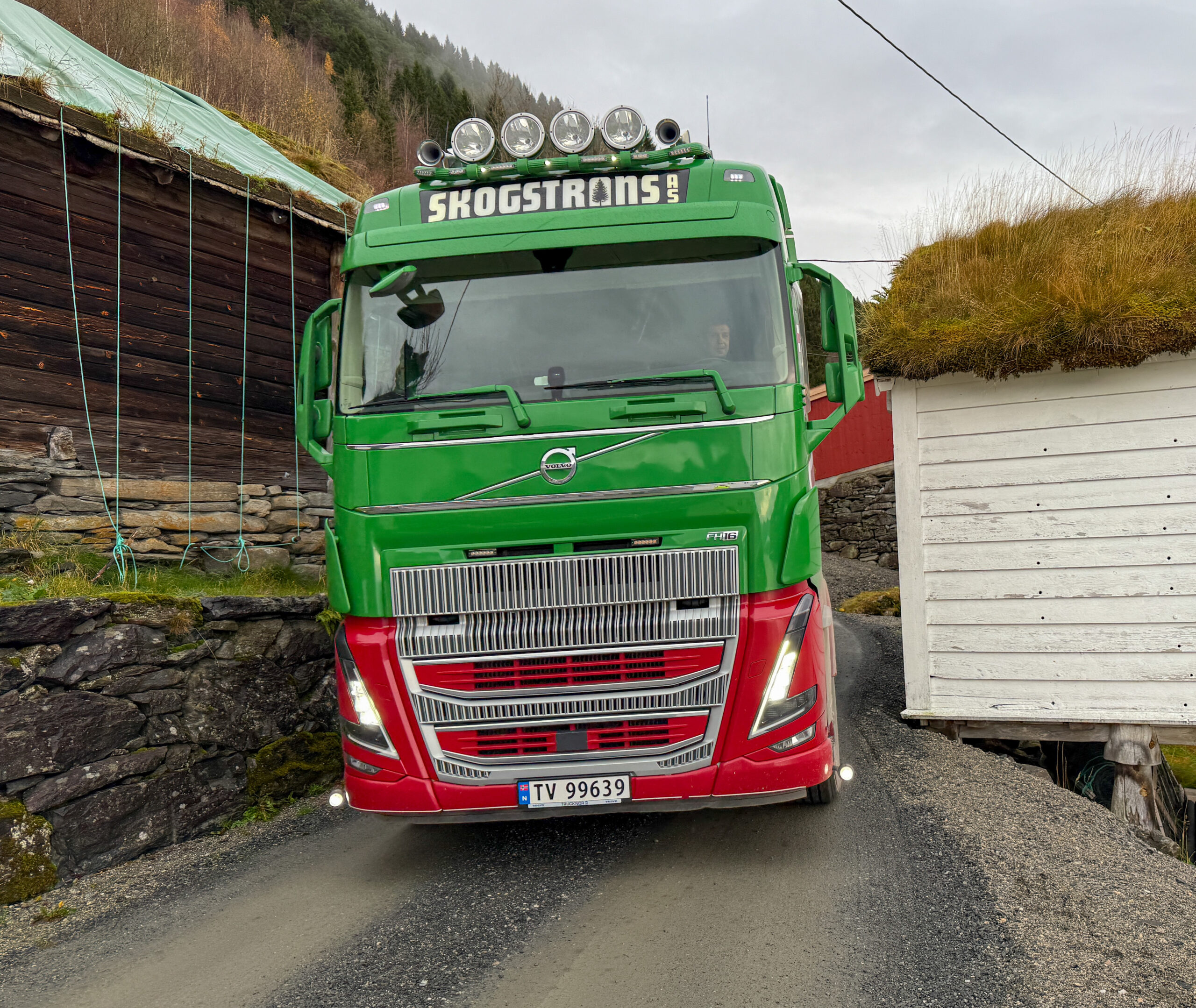 Tømmerbilsjåfør Darius Batavicius er blitt vant med smale, svingete og bratte Vestlands-veier. I noen av svingene ut fra hogstfeltet må han rygge både tre og fire ganger for å komme gjennom svingen. (Foto: Njål Hagen)