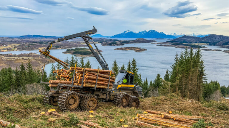 Spesialskogsdrift med lekter p&aring; Helgelandskysten